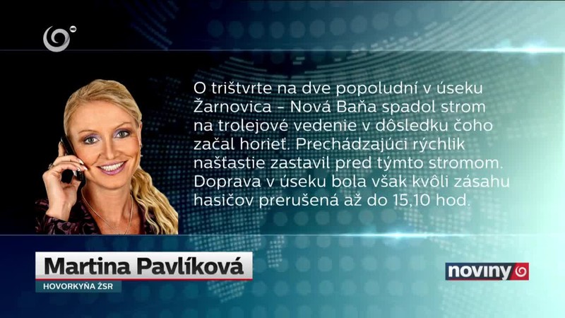 Vŕba spadla na trakčné vedenie