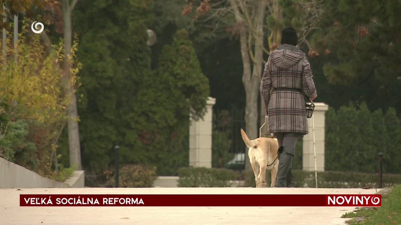 VEĽKÁ SOCIÁLNA REFORM