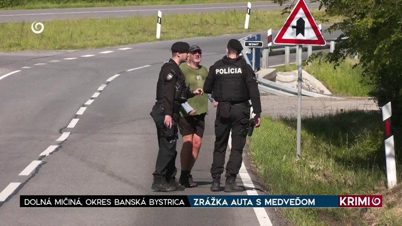 ZRÁŽKA AUTA S MEDVEĎOM