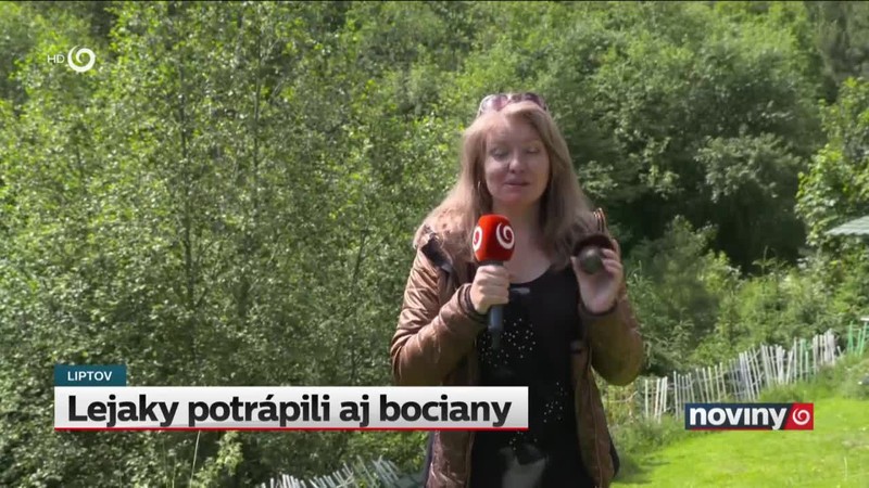 Lejaky potrápili aj bociany