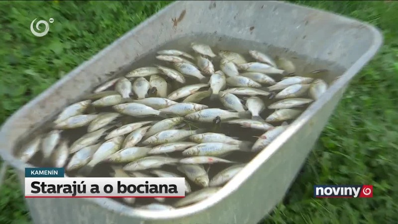 Starajú a o bociana