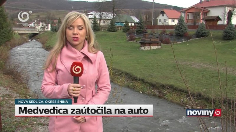 Medvedica zaútočila na auto
