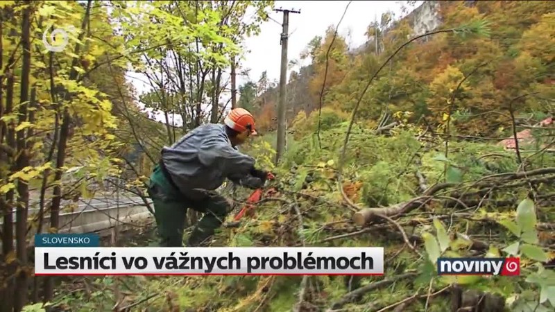 Lesníci vo vážnych problémoch