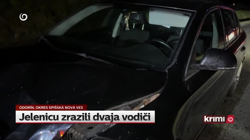 Jelenicu zrazili dvaja vodiči