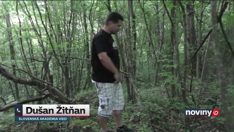 "Čudo" v lese