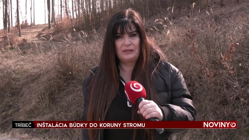 INŠTALÁCIA BÚDKY DO KORUNY STROMU