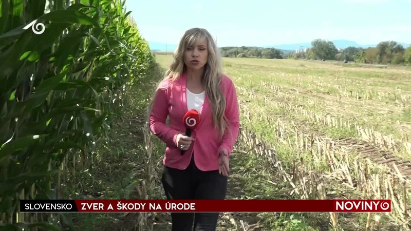 ZVER A ŠKODY NA ÚRODE