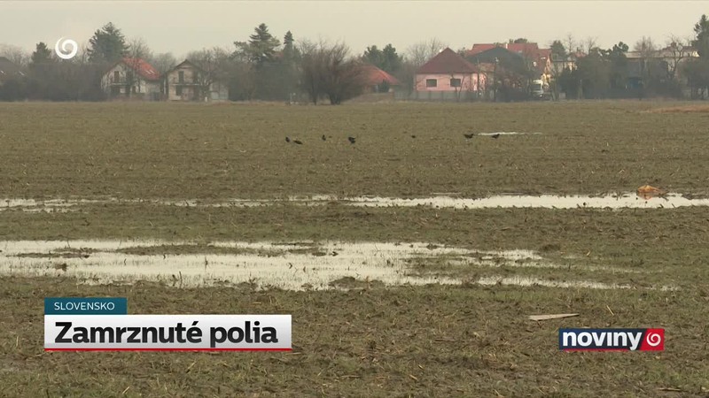 Zamrznuté polia