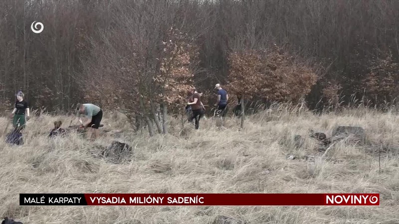 VYSADIA MILIÓNY SADENÍC