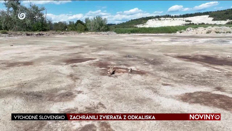 ZACHRÁNILI ZVIERATÁ Z ODKALISKA