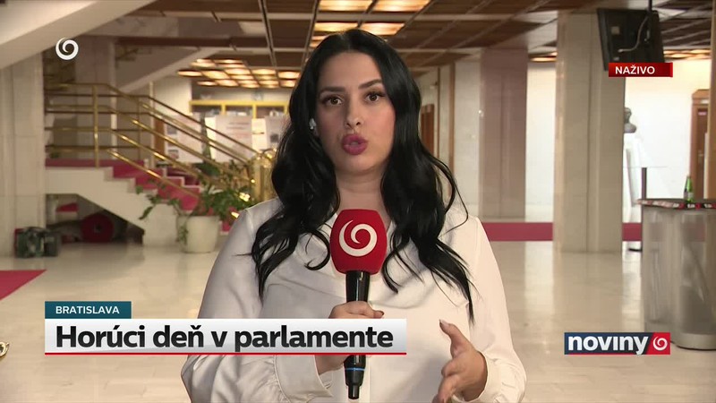 Horúci deň v parlamente