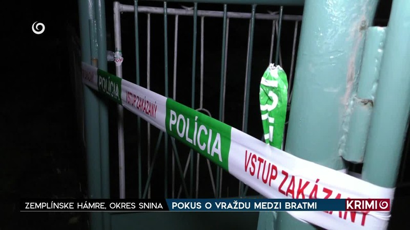 POKUS O VRAŽDU MEDZI BRATMI
