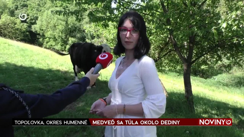 MEDVEĎ SA TÚLA OKOLO DEDINY