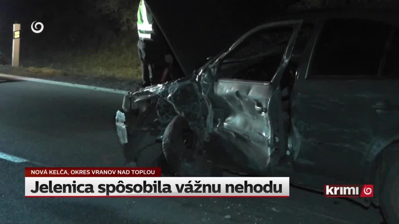 Jelenica spôsobila vážnu nehodu