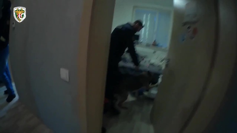 Zaistili 20 kilogramov drog