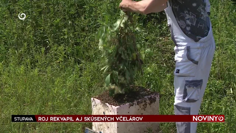 ROJ REKVAPIL AJ SKÚSENÝCH VČELÁROV