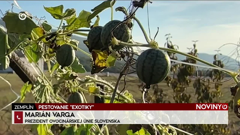 PESTOVANIE "EXOTIKY"