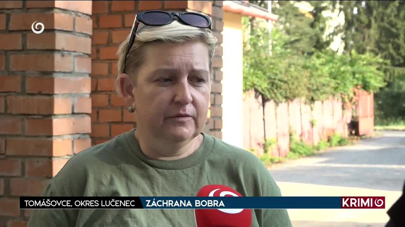 ZÁCHRANA BOBRA