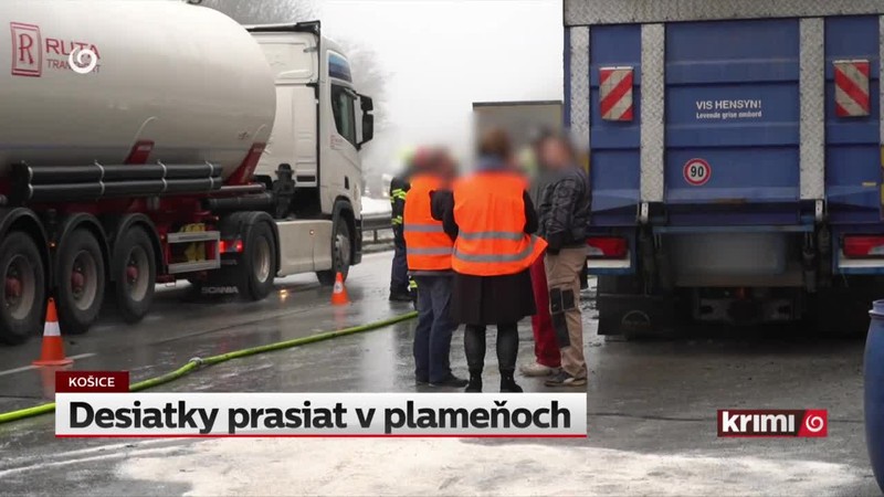 Desiatky prasiat v plameňoch