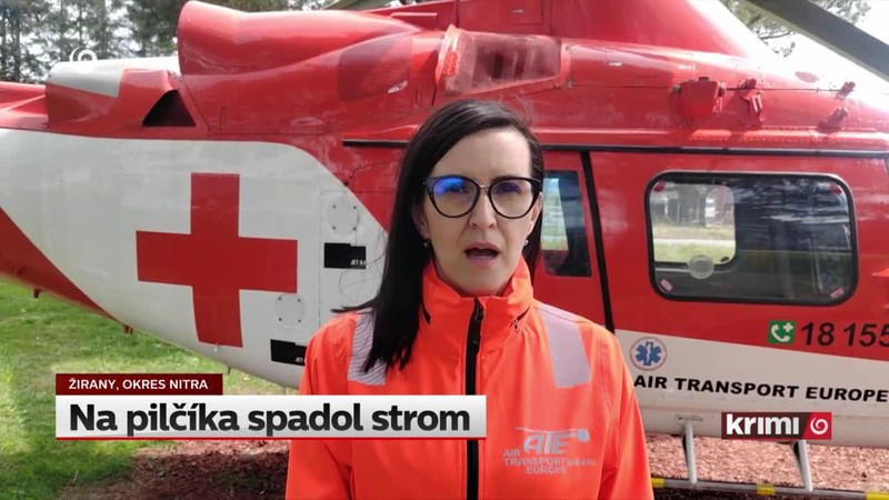 Na pilčíka spadol strom