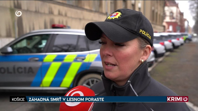 ZÁHADNÁ SMRŤ V LESNOM PORASTE