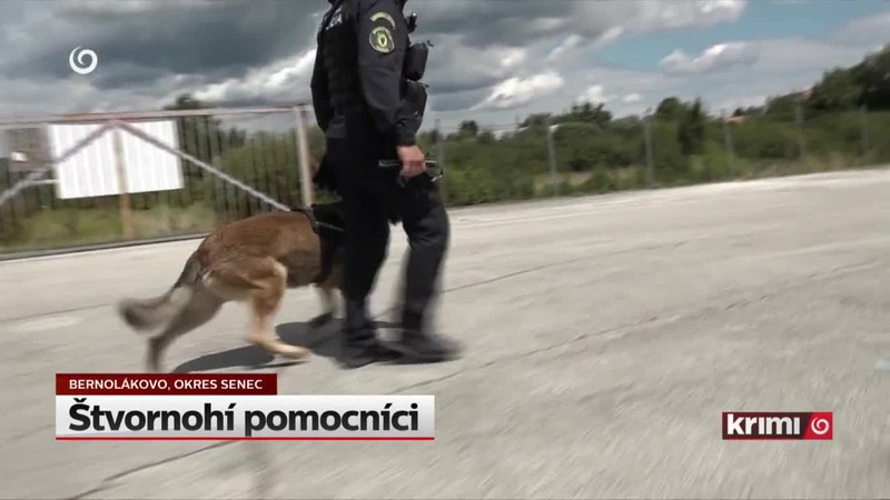 Štvornohí pomocníci
