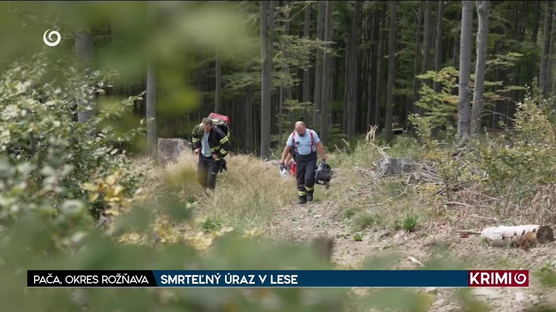 SMRTEĽNÝ ÚRAZ V LESE