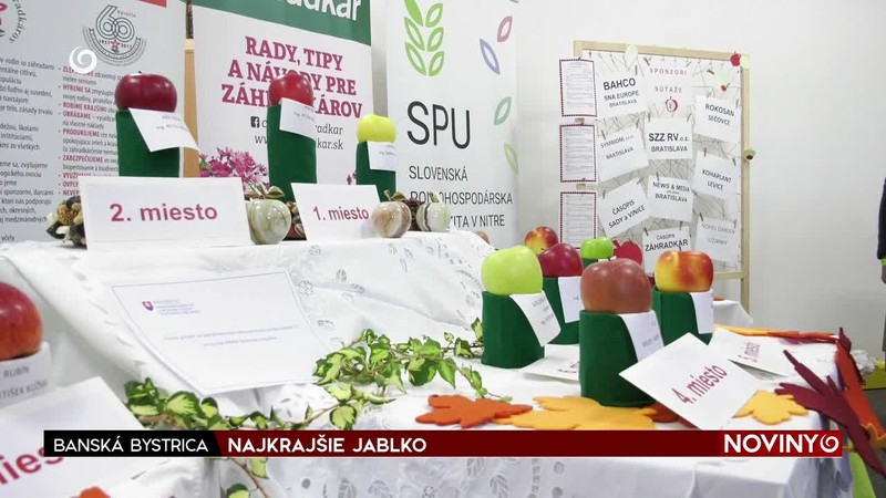 NAJKRAJŠIE JABLKO
