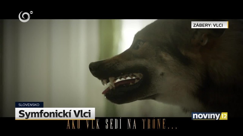 Takto vznikala zvučka k novému seriálu Vlci