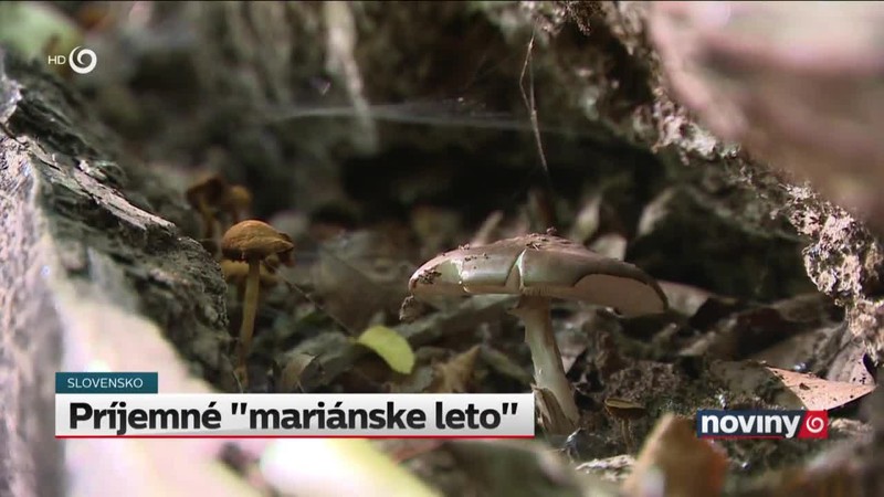 Príjemné "mariánske leto"