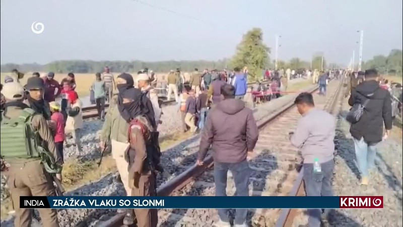 ZRÁŽKA VLAKU SO SLONMI