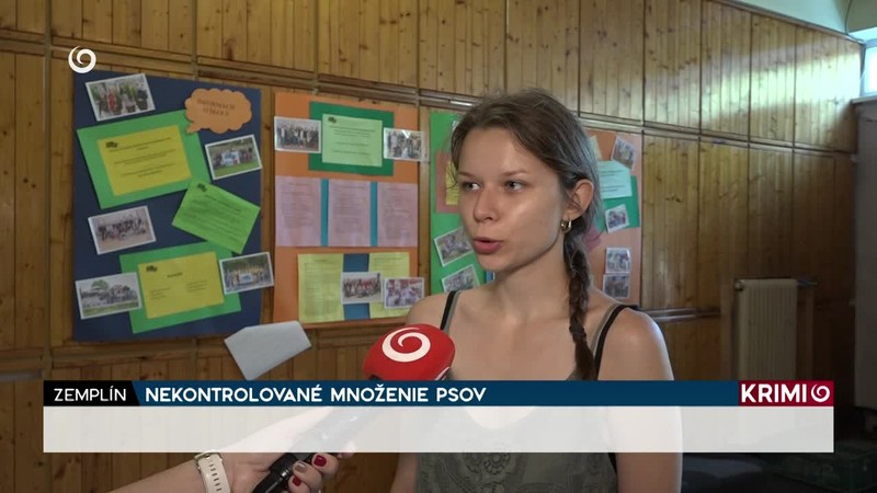 NEKONTROLOVANÉ MNOŽENIE PSOV