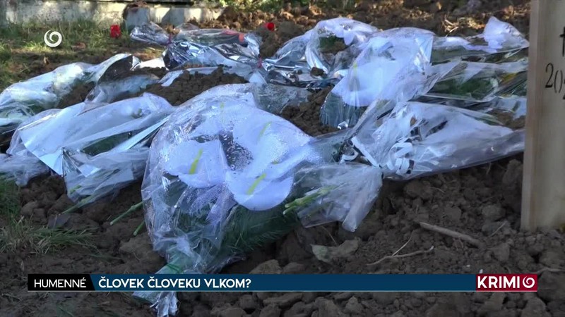 ČLOVEK ČLOVEKU VLKOM?