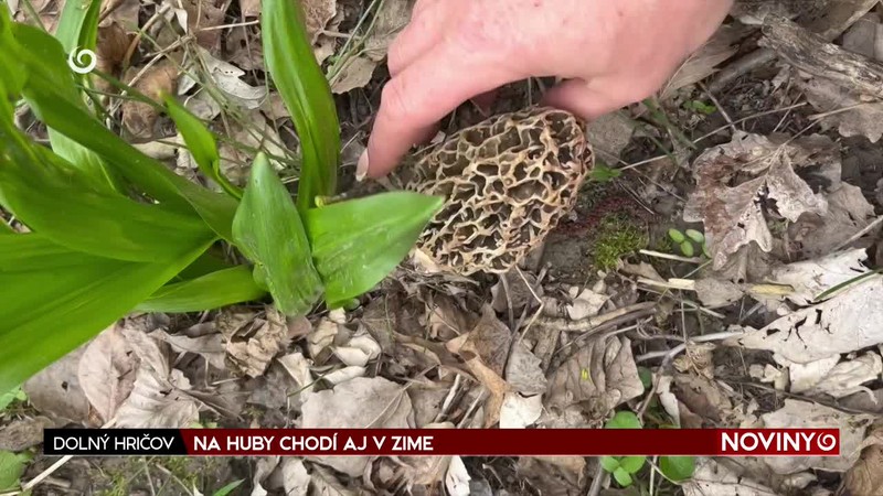 NA HUBY CHODÍ AJ V ZIME