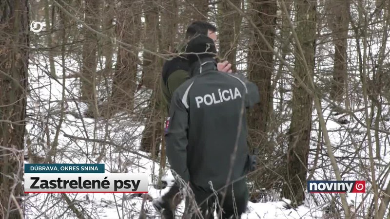 Zastrelené psy