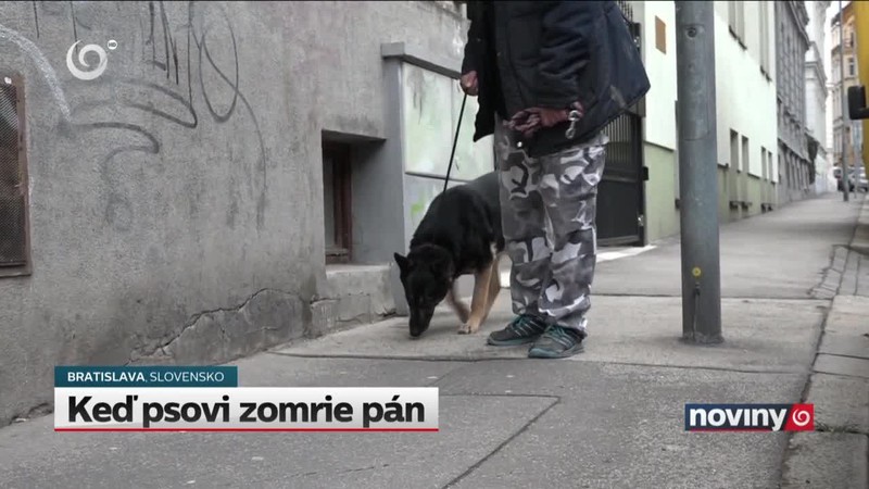 Keď psovi zomrie pán