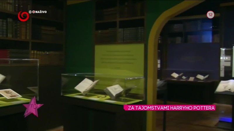 ZA TAJOMSTVAMI HARRYHO POTTERA