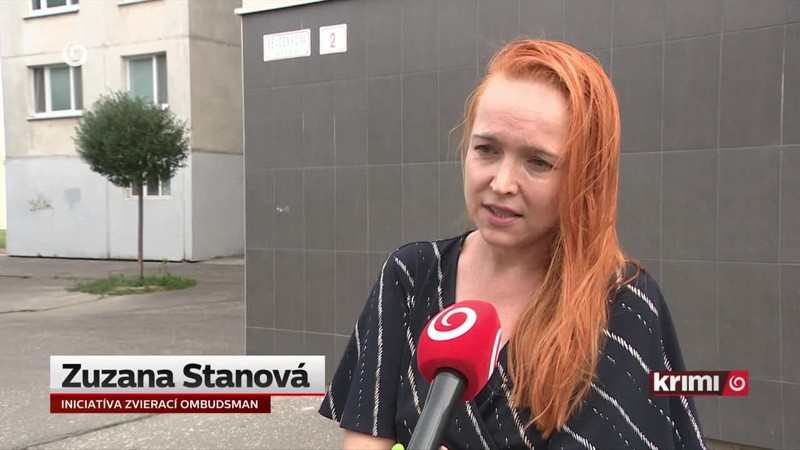 Mimoriadne krutý "život" na reťazi