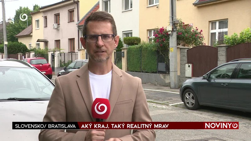 AKÝ KRAJ, TAKÝ REALITNÝ MRAV