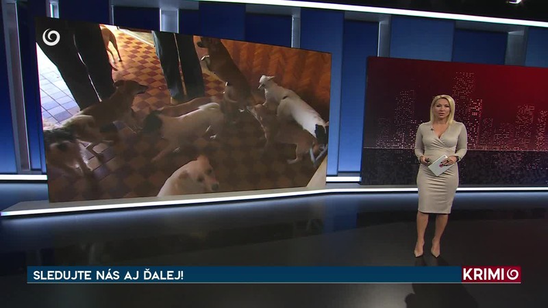 DIDDYHO PRÁVNICI OBVIŇUJÚ VLÁDU