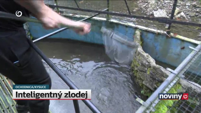 Inteligentný zlodej