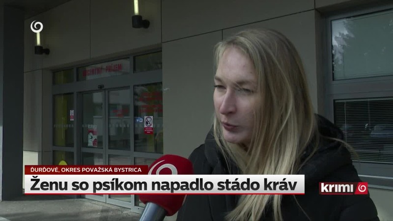 Ženu so psíkom napadlo stádo kráv
