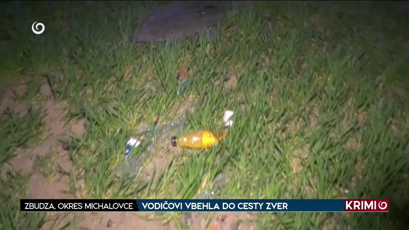 VODIČOVI VBEHLA DO CESTY ZVER