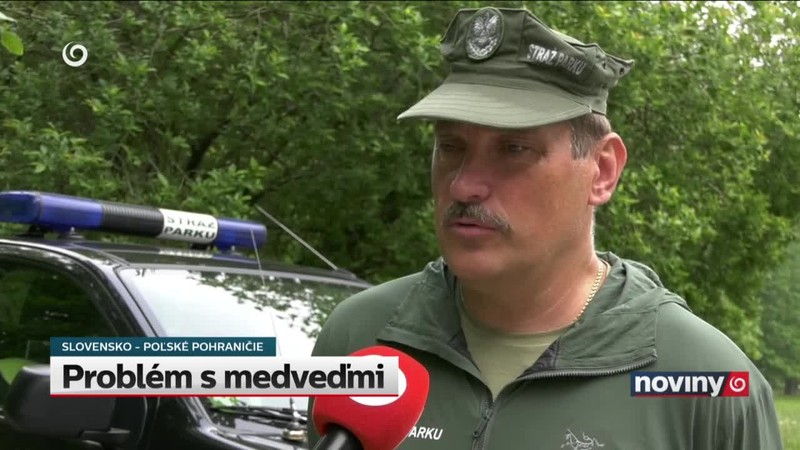 Problém s medveďmi