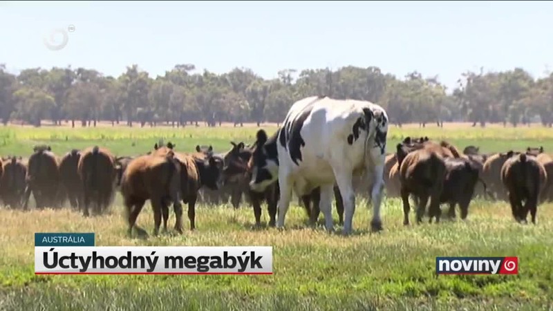 Úctyhodný megabýk