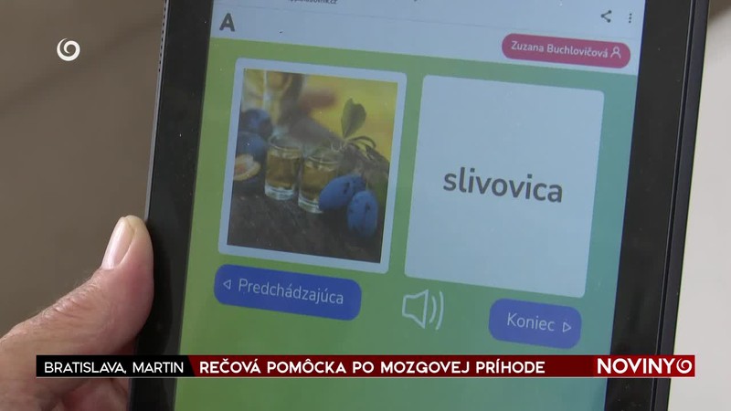 REČOVÁ POMÔCKA PO MOZGOVEJ PRÍHODE