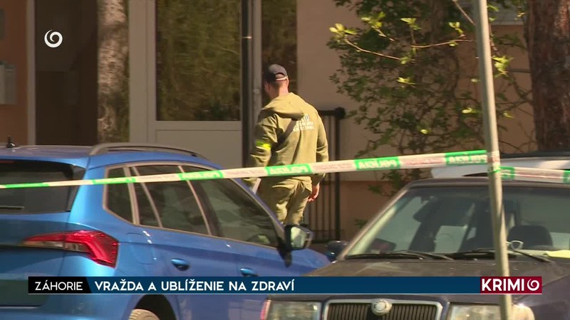 VRAŽDA A UBLÍŽENIE NA ZDRAVÍ