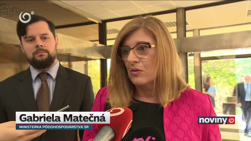 Ďalšie sporné pozemky
