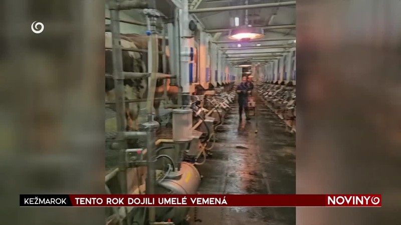 TENTO ROK DOJILI UMELÉ VEMENÁ