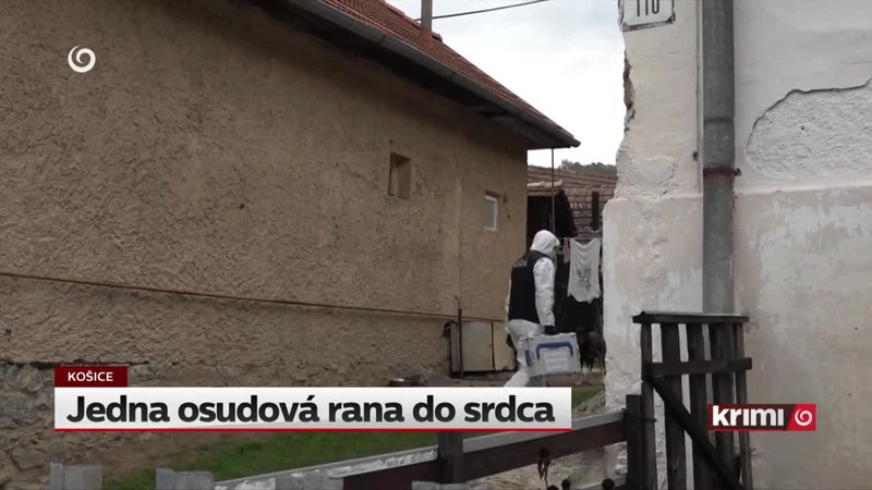 Jedna osudová rana do srdca